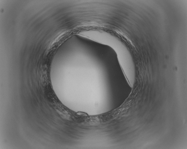 X0000075360968200609251058