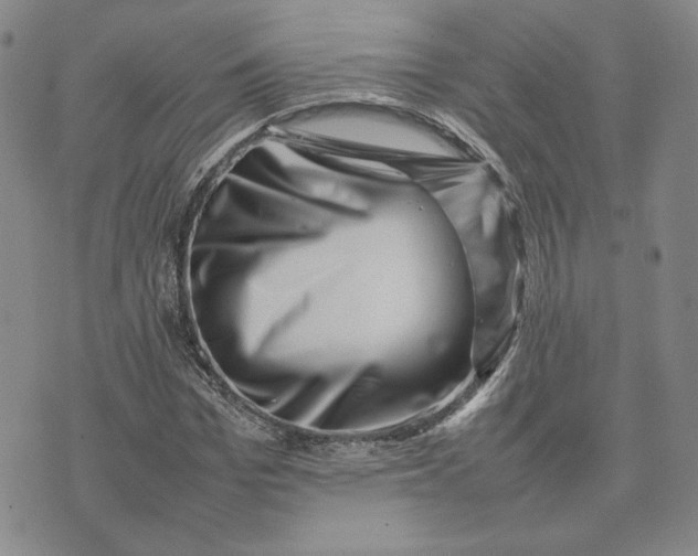 X0000075360969200609251058