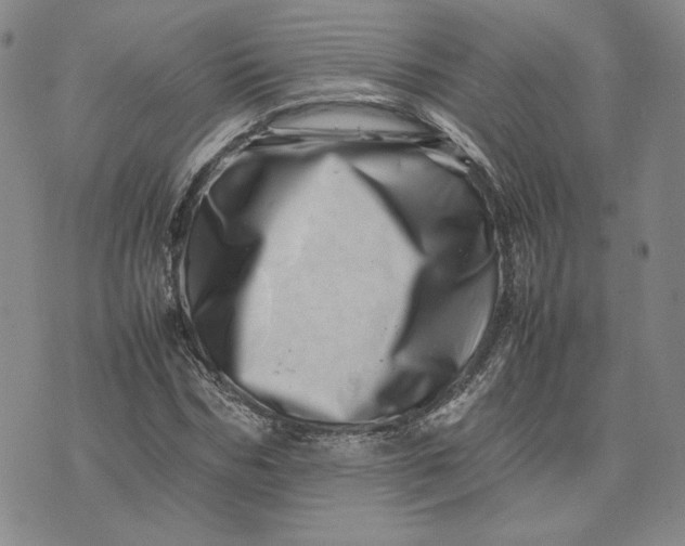 X0000075360970200609251058