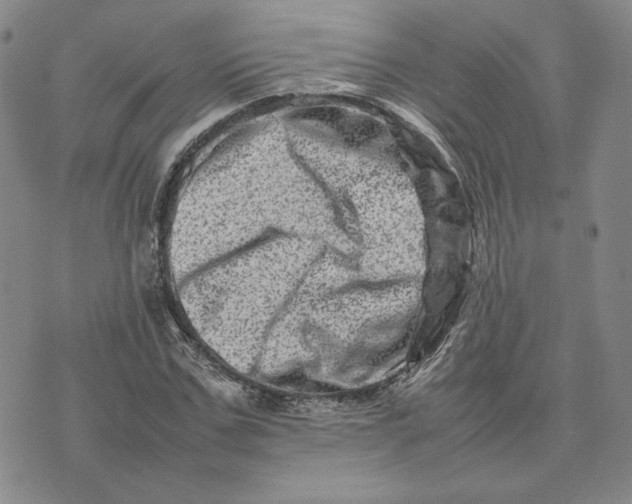 X0000075360971200609251058