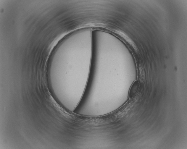 X0000075360972200609251058