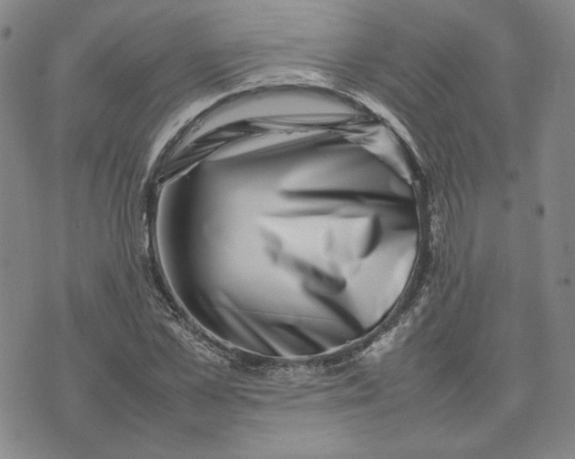 X0000075360973200609251058