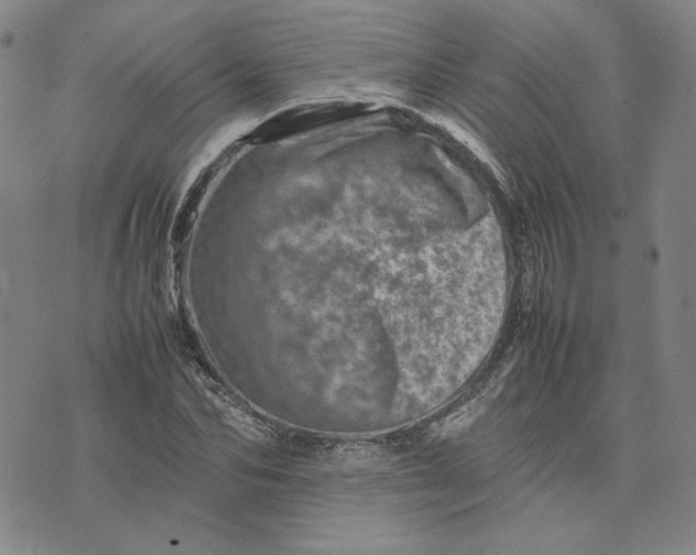 X0000075360974200609251058