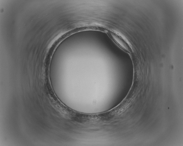 X0000075360975200609251058