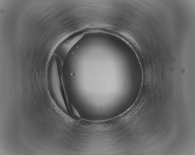 X0000075360976200609251057