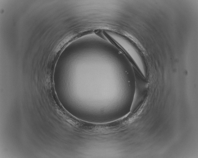 X0000075360977200609251057