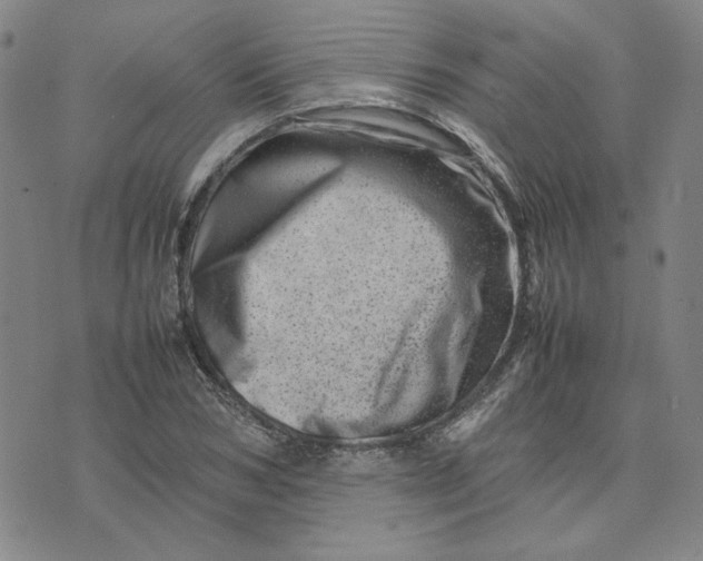 X0000075360978200609251057