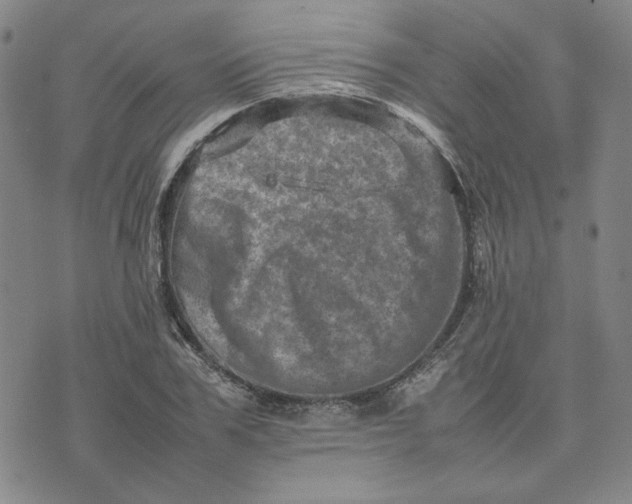 X0000075360979200609251057