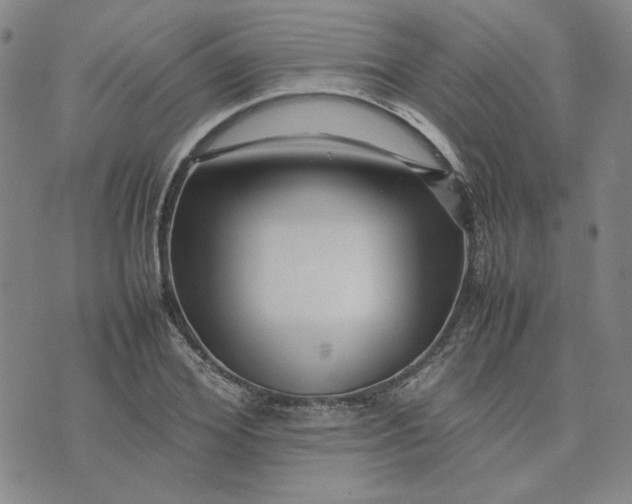 X0000075360980200609251057