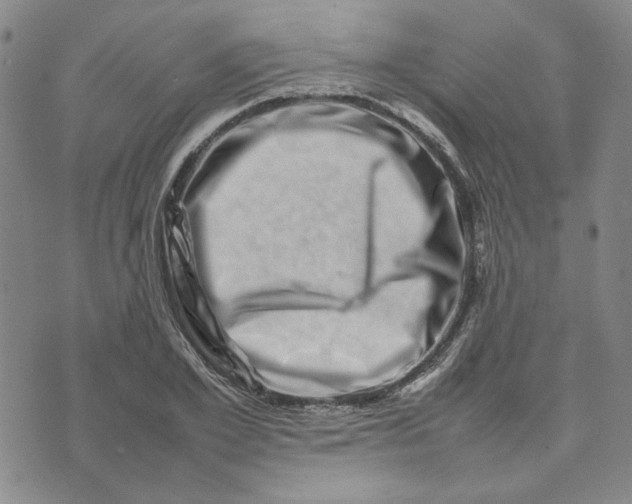 X0000075360981200609251057