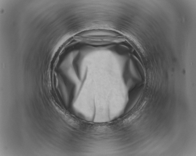 X0000075360982200609251057