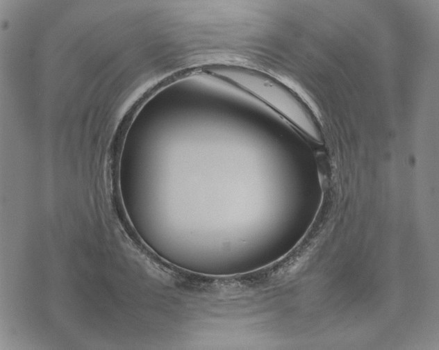 X0000075360983200609251057