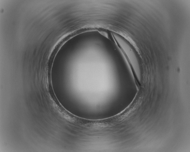 X0000075360984200609251057