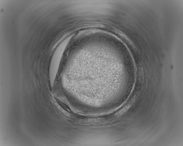 X0000075360985200609251057