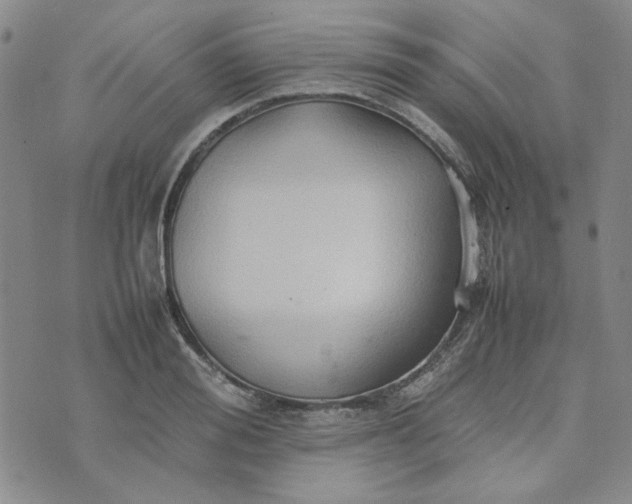 X0000075360988200609251057