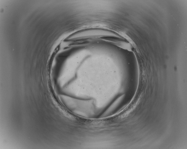 X0000075360989200609251057