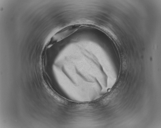 X0000075360990200609251057