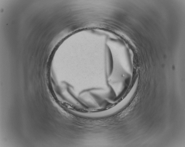 X0000075360991200609251057