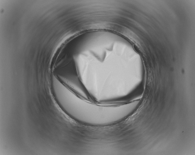 X0000075360992200609251057