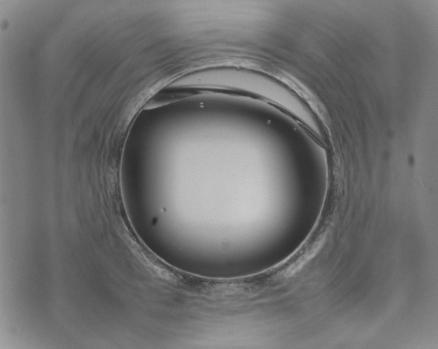 X0000075360993200609251057