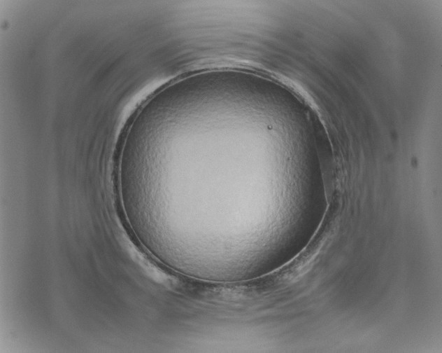 X0000075360995200609251057