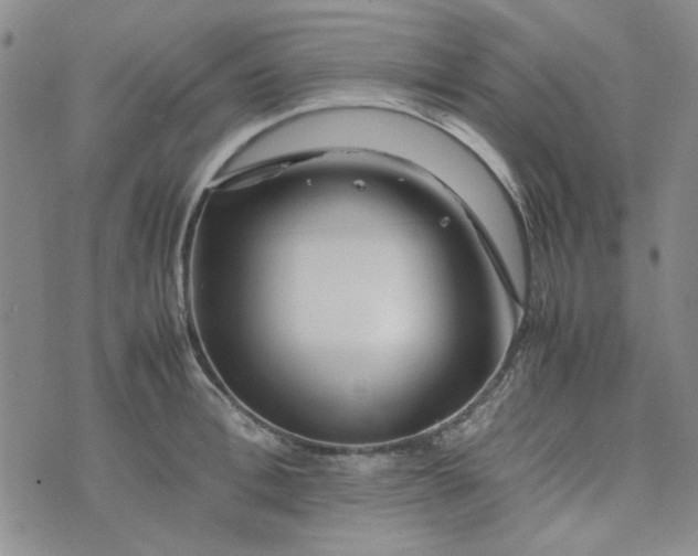 X0000075360996200609251057