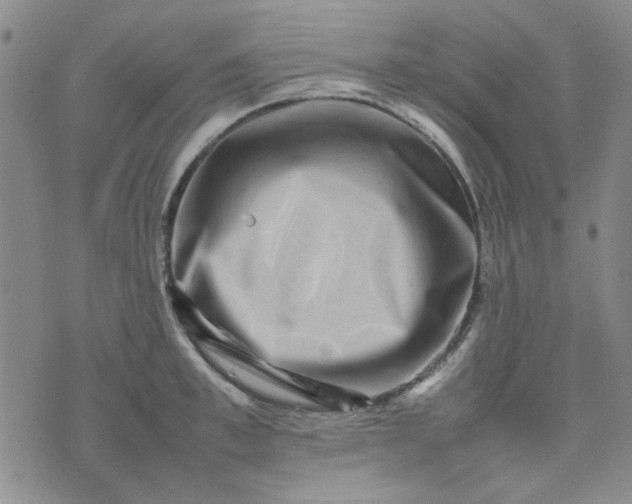 X0000075360997200609251057