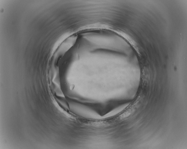 X0000075360998200609251057