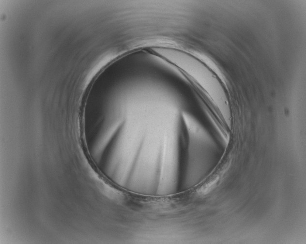 X0000075360999200609251057