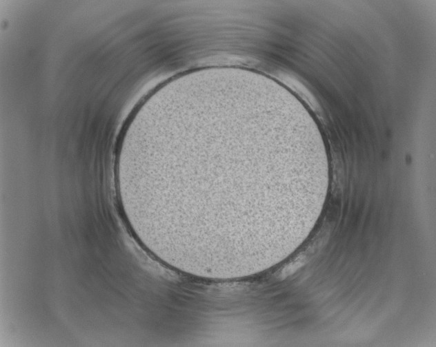 X0000075361000200609251057