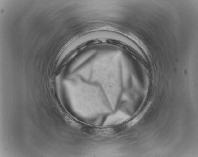 X0000075361001200609251057