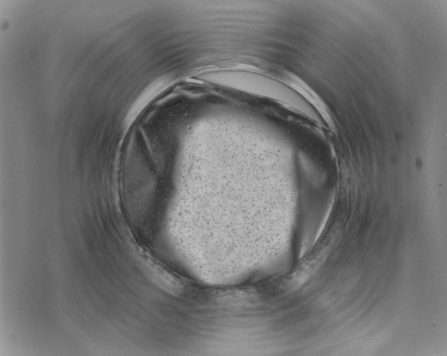 X0000075361002200609251057