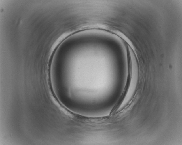 X0000075361005200609251057