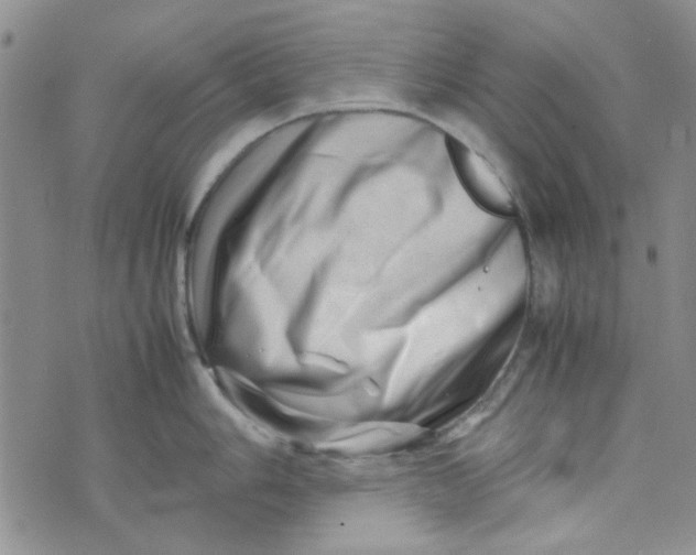 X0000075361006200609251057