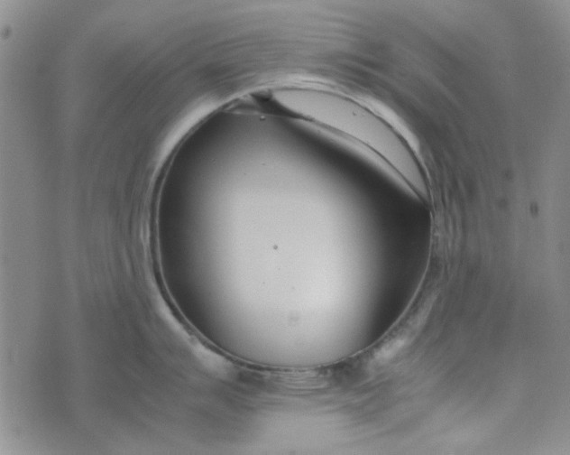 X0000075361007200609251057