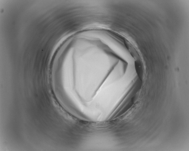 X0000075361008200609251057