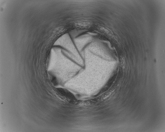 X0000075361009200609251056