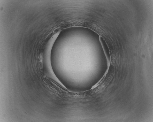 X0000075361010200609251056