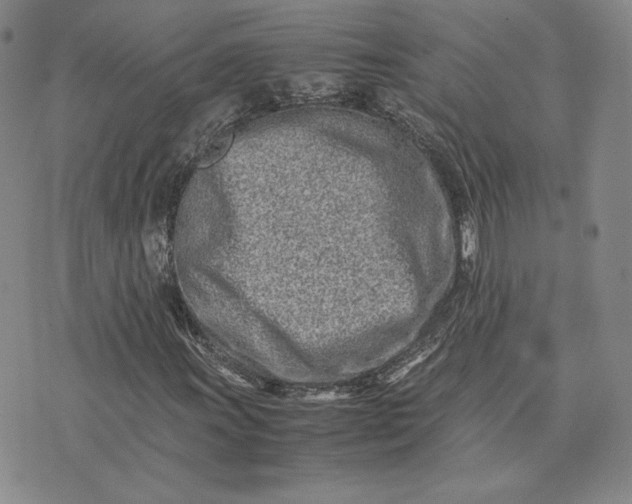 X0000075361011200609251056