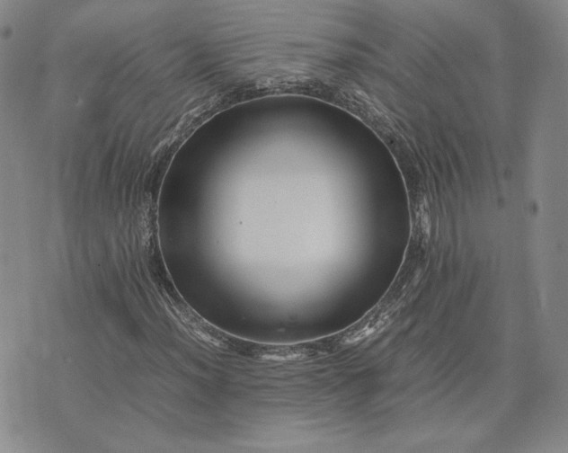 X0000075361012200609251056