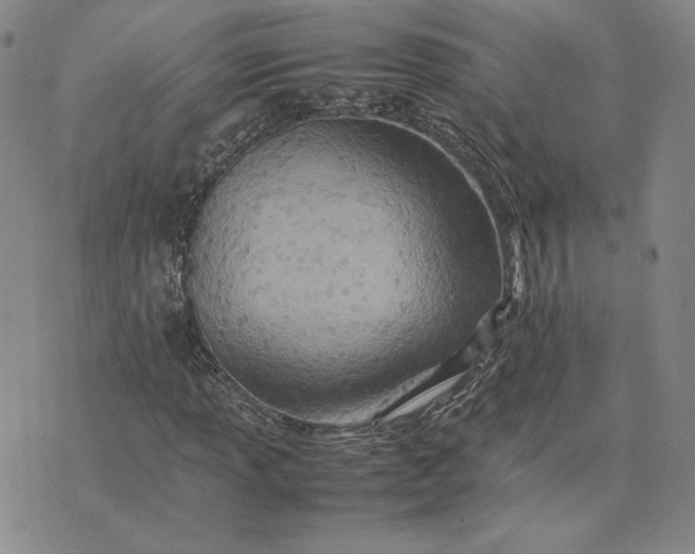 X0000075361013200609251056