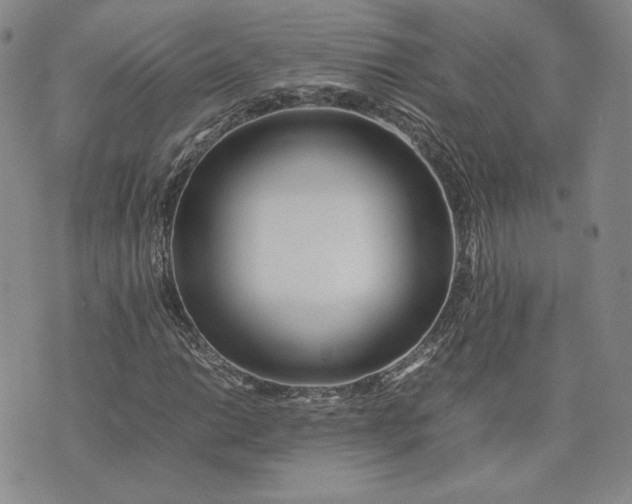 X0000075361014200609251056