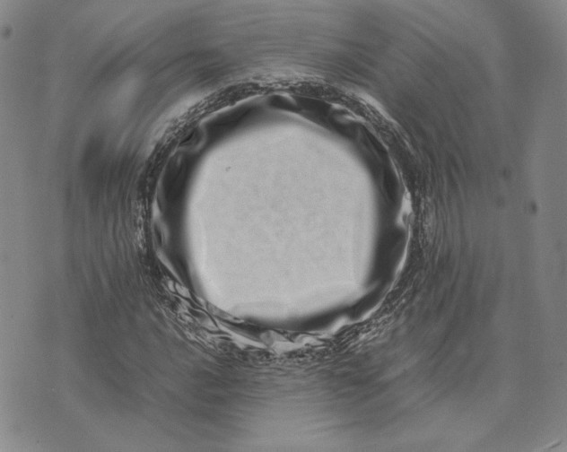 X0000075361016200609251056