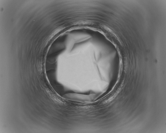 X0000075361017200609251056