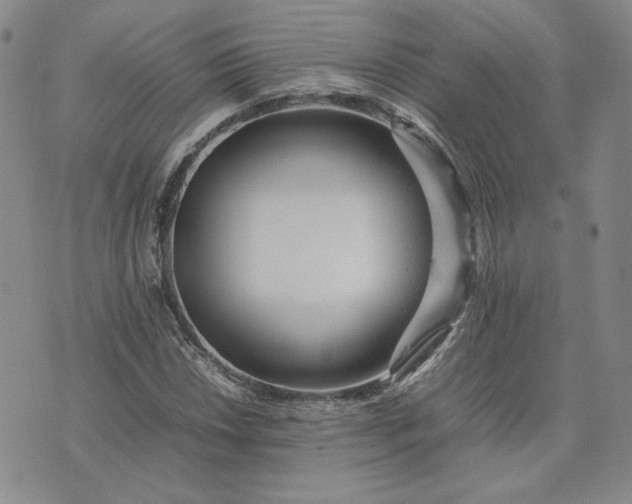 X0000075361018200609251056