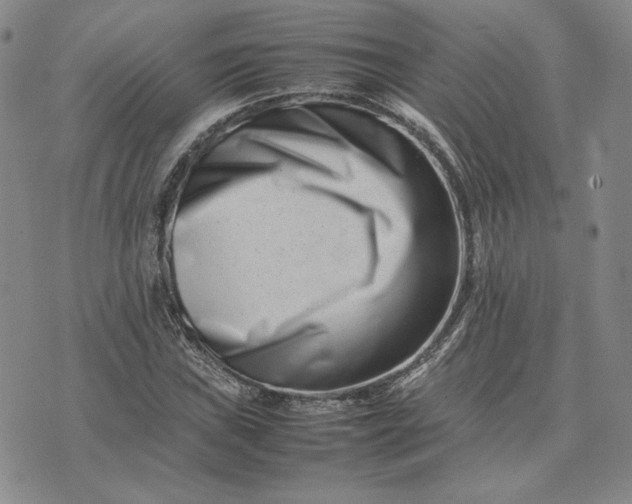 X0000075361019200609251056