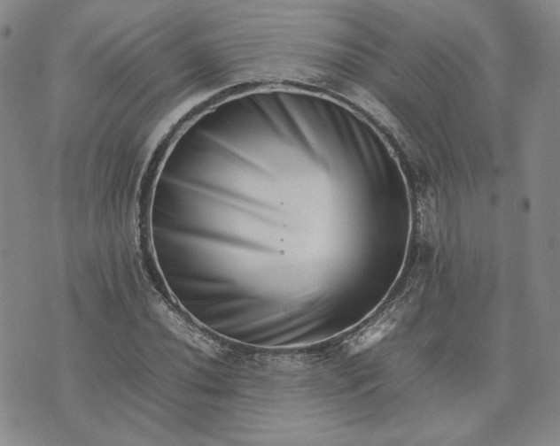 X0000075361020200609251056