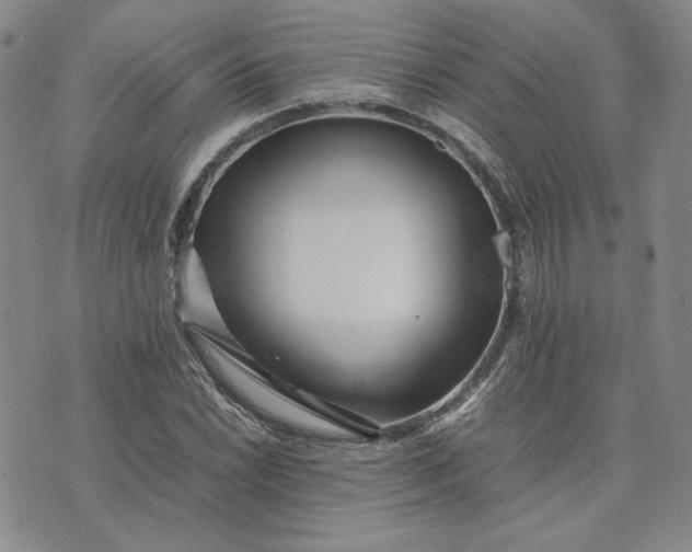 X0000075361022200609251056