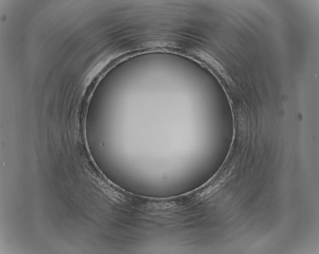 X0000075361023200609251056