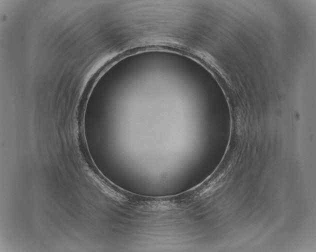 X0000075361024200609251056